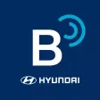 현대 블루링크