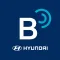 Bluelink