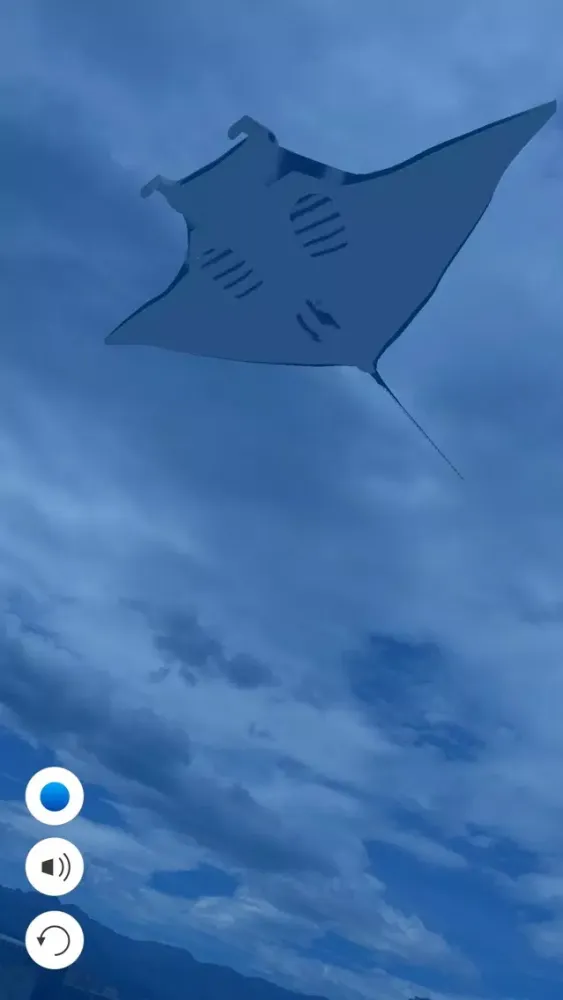 صور Manta AR