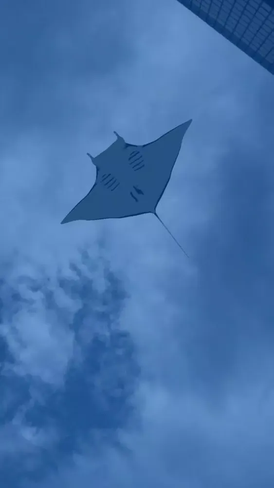 صور Manta AR