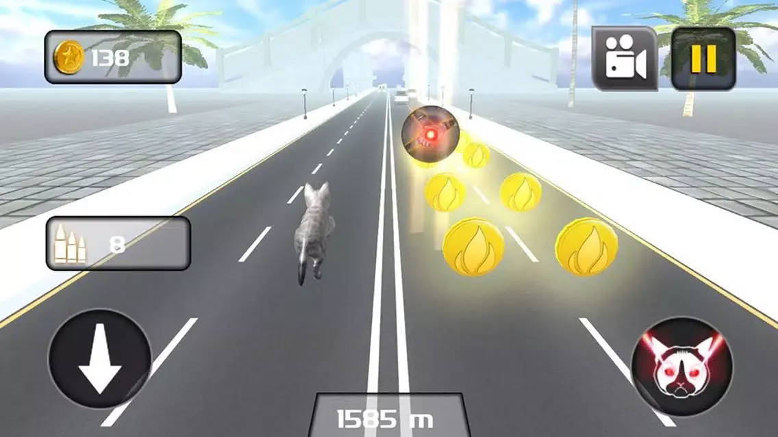 ภาพหน้าจอของ Kitty Cat Rush 3D Game