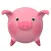 FloatingPig