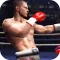 King BOXING Fighting 3D