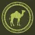 Camel Sports