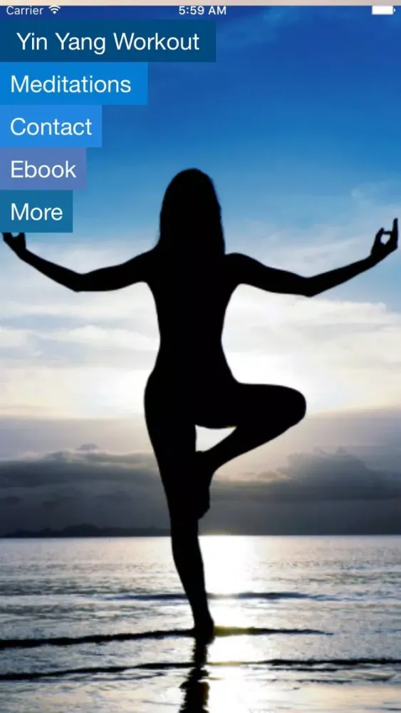 Tangkapan layar Yin/Yang Tai Chi Balanced Workout App