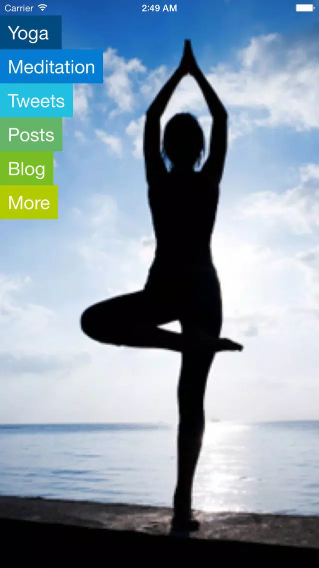 ภาพหน้าจอของ Vinyasa Flow Yoga-Intermediate and Advanced AppVideo-Maral Hadidi
