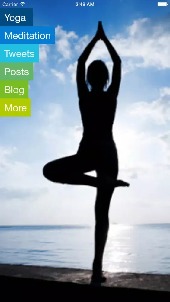 Tangkapan layar Vinyasa Flow Yoga-Intermediate and Advanced AppVideo-Maral Hadidi