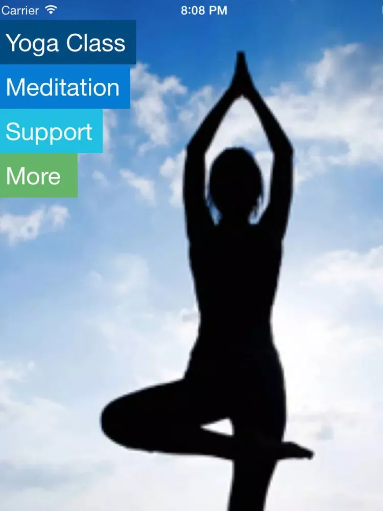Restorative Yoga Therapy for Depression-Laura Hawes-VideoApp iPad 应用截图