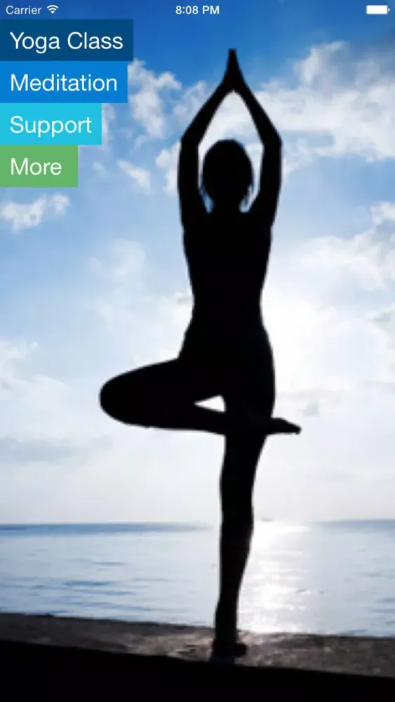 Restorative Yoga Therapy for Depression-Laura Hawes-VideoApp应用截图