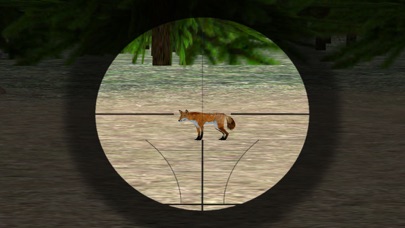 Sniper Hunt-er 3D: Wild Animal Screenshots