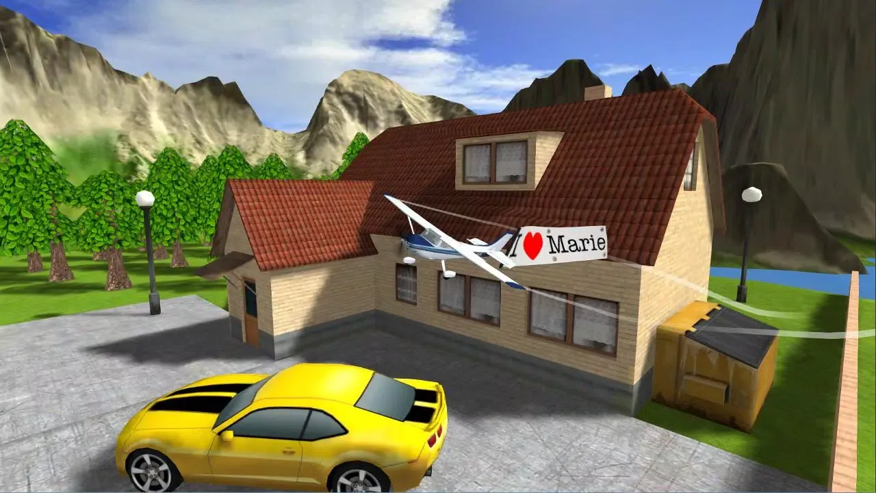 Airplane Flight Simulator RC Screenshots