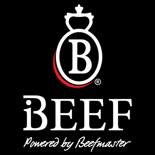 iBeef iBeef