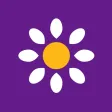 Bellis - Tilbud på oplevelser