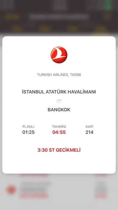 Zrzuty ekranu Havaalanı