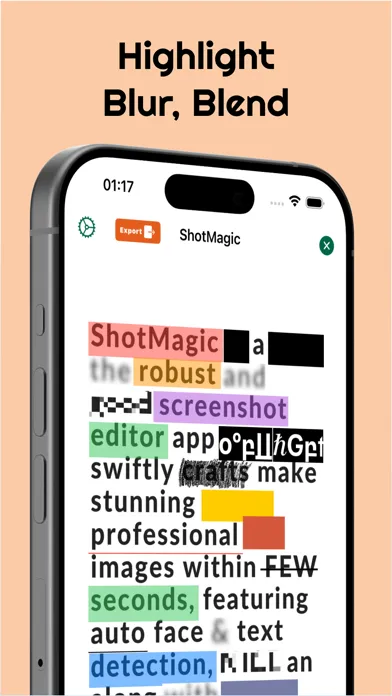 Photo's Text Censor & Blur应用截图