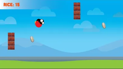 Ảnh chụp màn hình của Rice Race