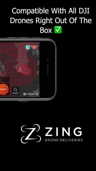 Zrzuty ekranu Zing Pilot