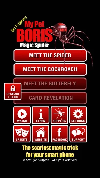 Ảnh chụp màn hình của Magic Spider - My Pet Boris