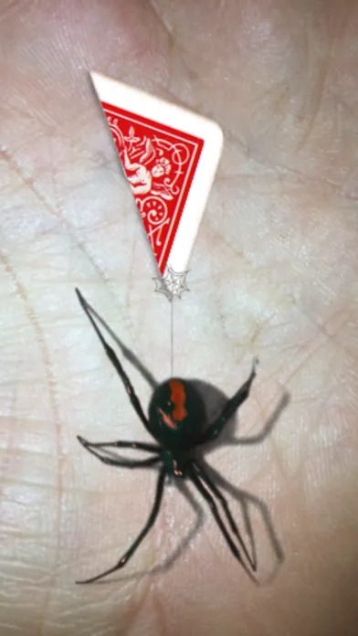Ảnh chụp màn hình của Magic Spider - My Pet Boris