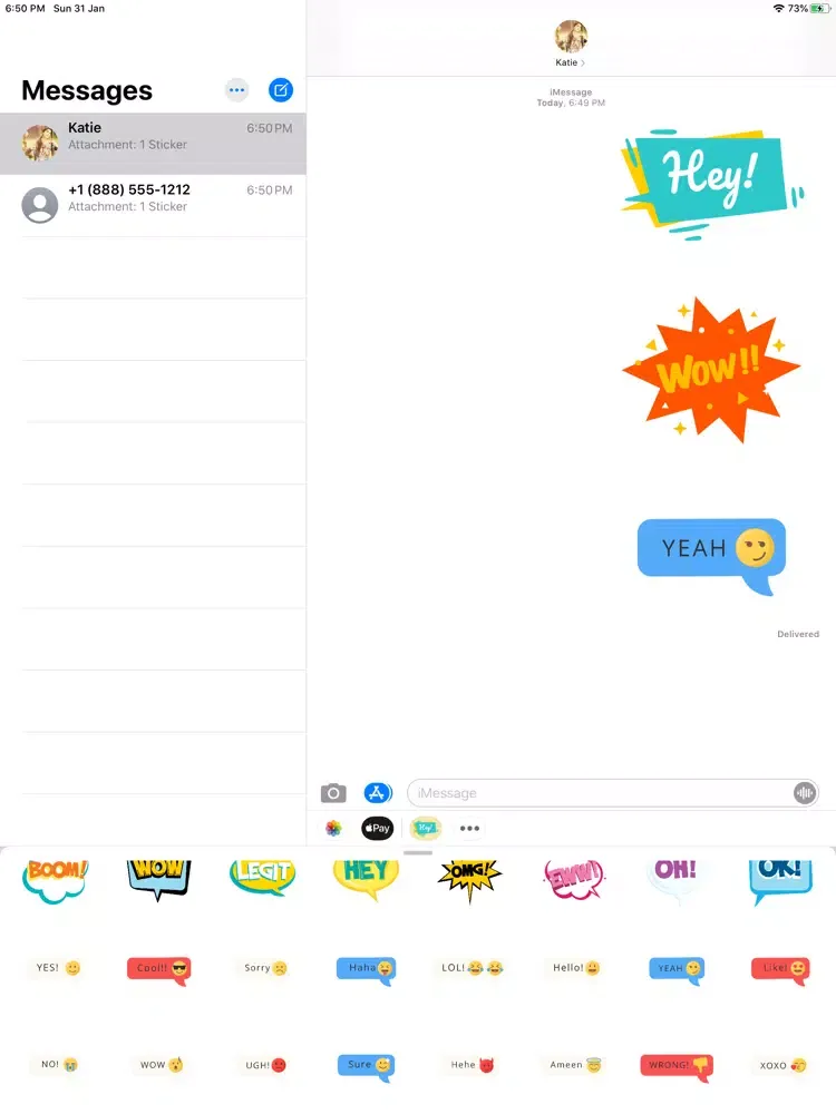 ภาพหน้าจอของ Colorful Messages Stickers iPad 