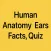 Human Anatomy Ears Facts, Quiz