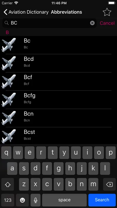 ADP- Aviation Dictionary Prem Ekran Görüntüleri