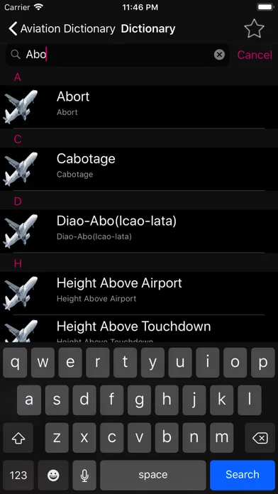 ADP- Aviation Dictionary Prem Ekran Görüntüleri