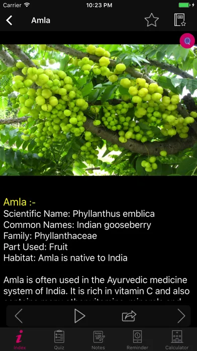 Natural Remedies Herbal سکرین شاٹس