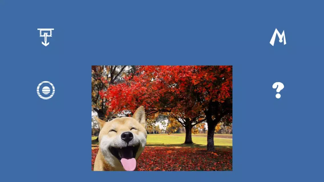 PIP camera in real-time 스크린샷