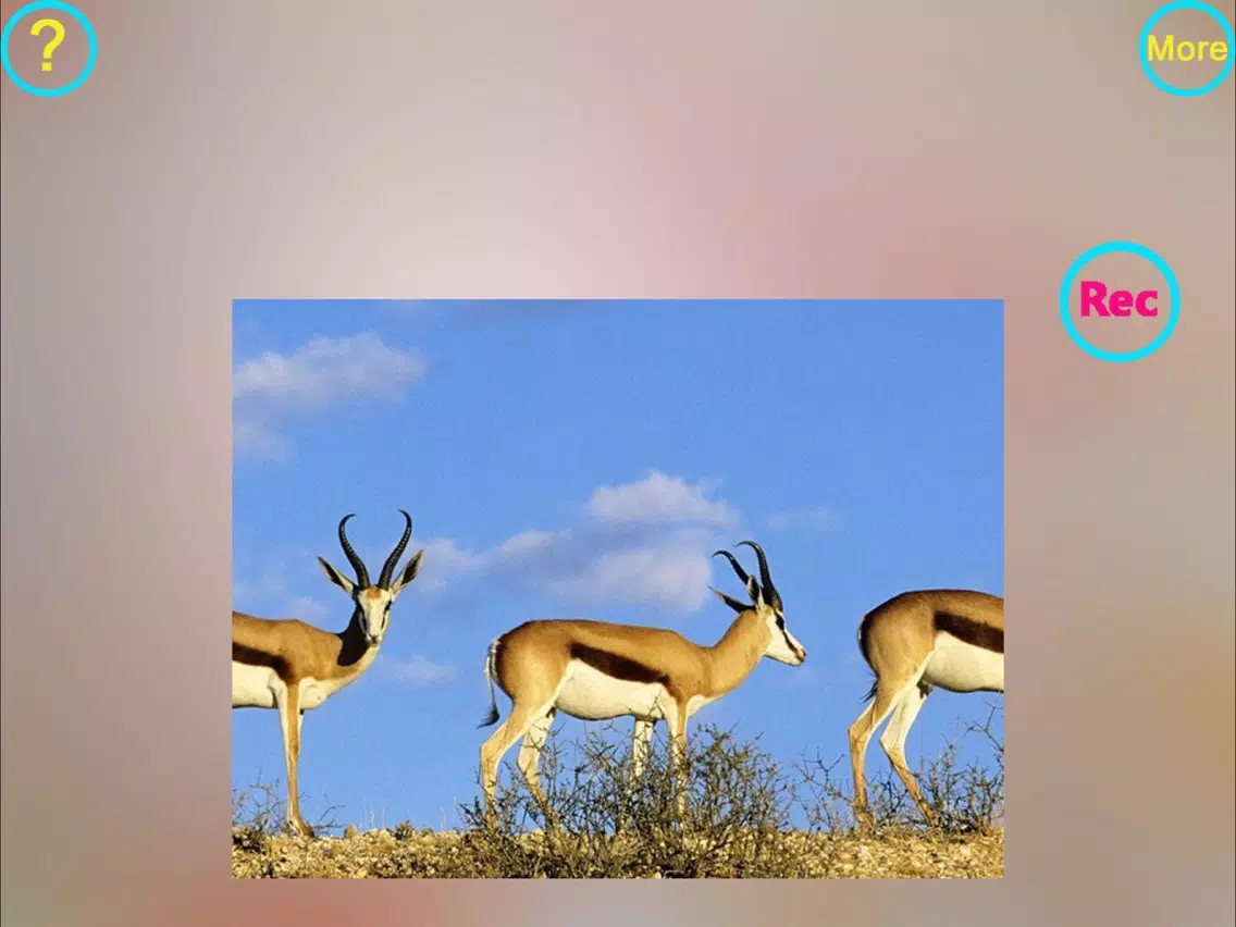 Capturas de tela do Multiple exposure animation iPad 