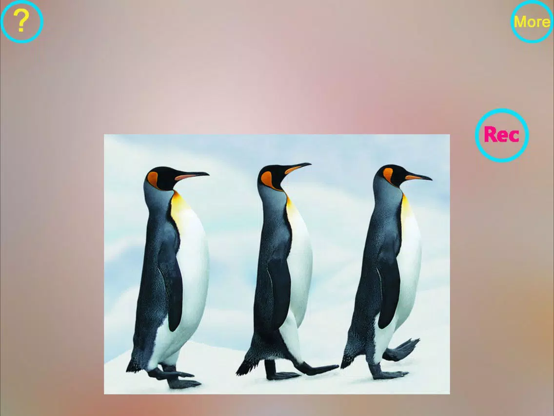 Capturas de tela do Multiple exposure animation iPad 