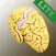 Brodmann 3D Lite