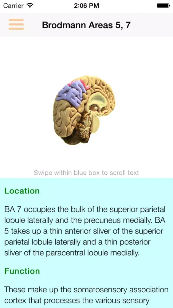 تصاویر Brodmann 3D Lite