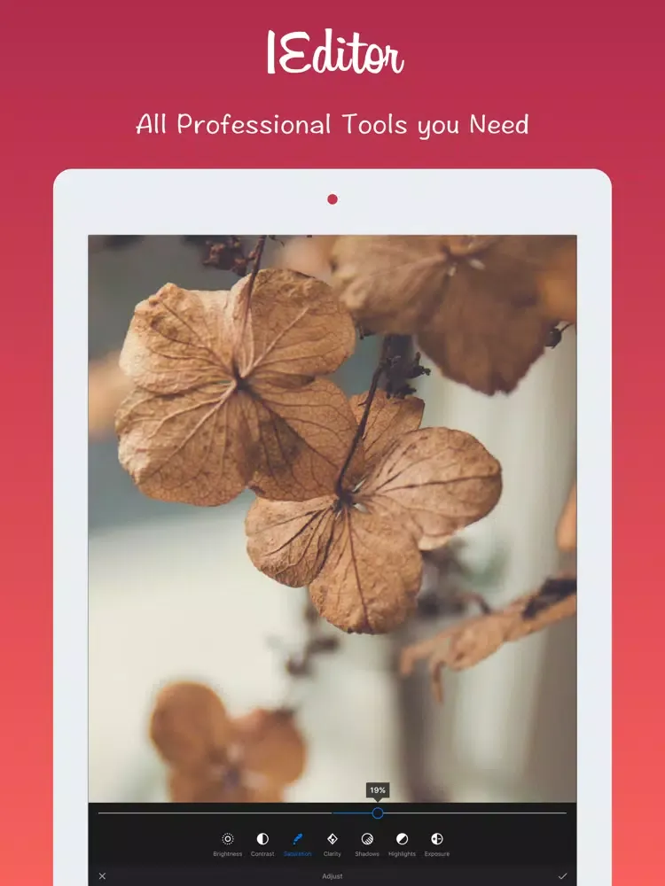 Zrzuty ekranu 1Editor - Photo Editor | Picture Effects iPad 