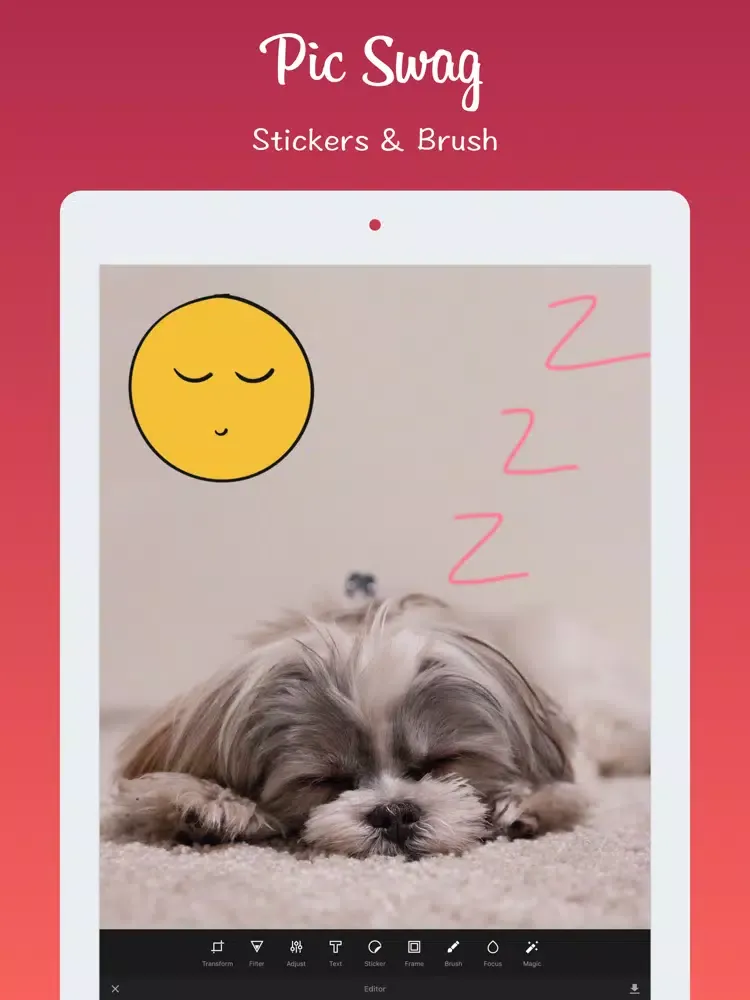 Zrzuty ekranu 1Editor - Photo Editor | Picture Effects iPad 