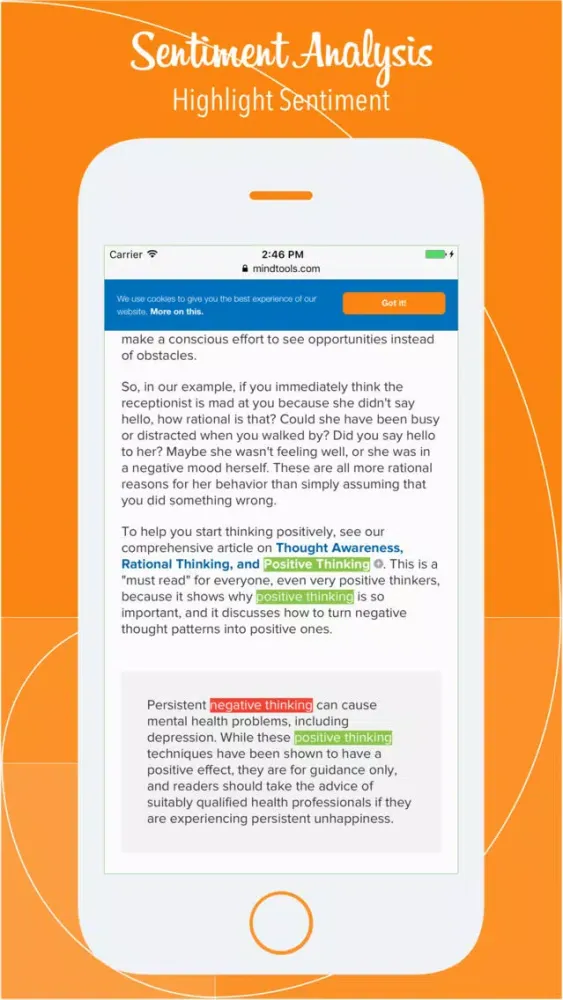 Sentiment Analysis - Positive or negative? Screenshots