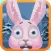 Run White Bunny Run