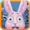 Run White Bunny Run