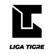 Liga Tigre
