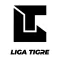 Liga Tigre