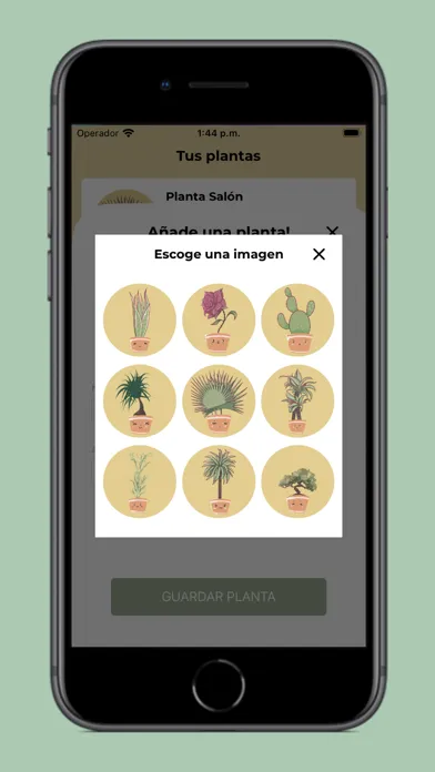 Tangkapan skrin Healthy plants
