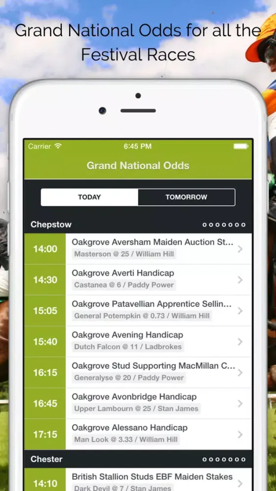 ภาพหน้าจอของ Grand National Tips, Free Bets & Betting Offers