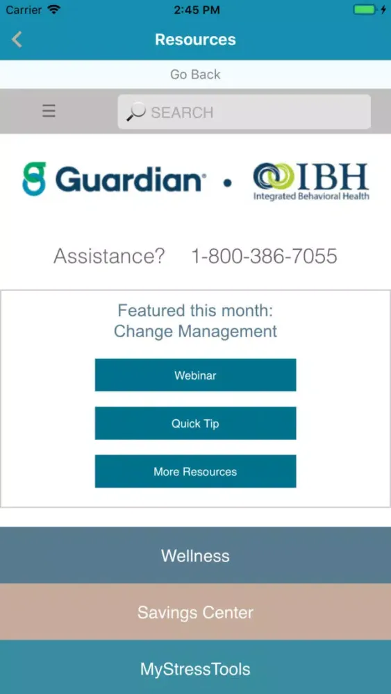 IBH Guardian Screenshots