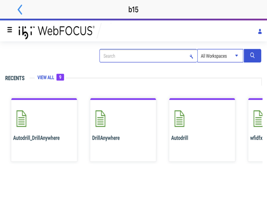 ibi™ WebFOCUS® iPad  Screenshots