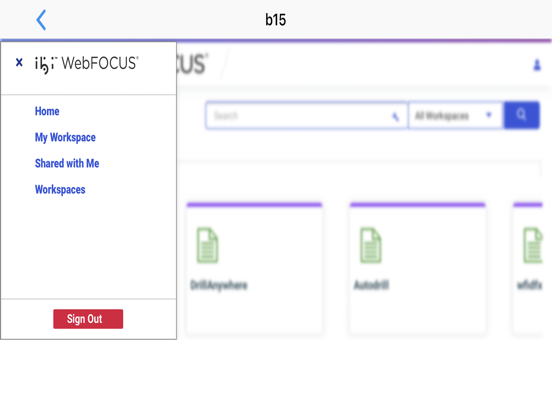 ibi™ WebFOCUS® iPad  Screenshots