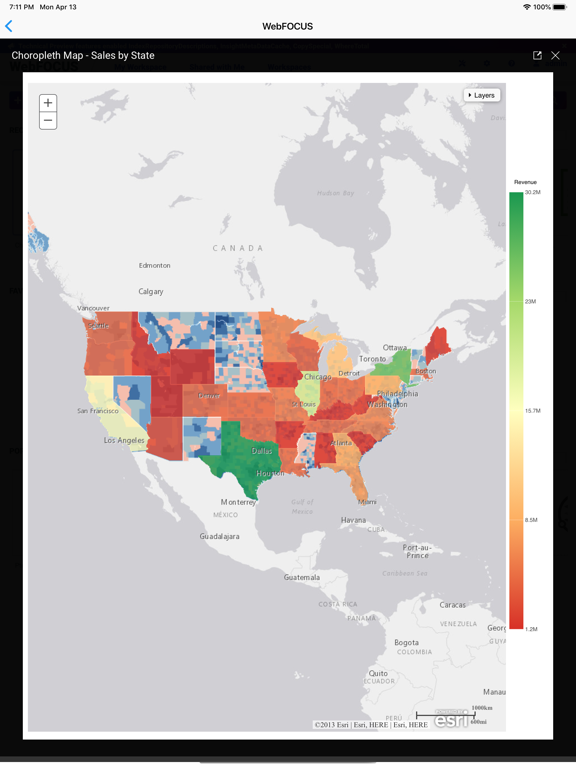 ibi™ WebFOCUS® iPad  Screenshots