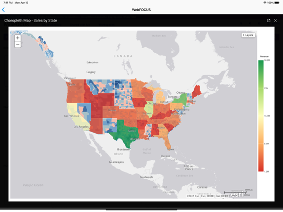 ibi™ WebFOCUS® iPad  Screenshots
