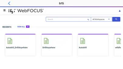 Zrzuty ekranu ibi™ WebFOCUS®
