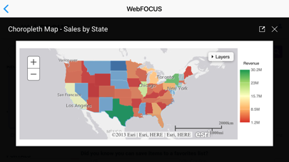ibi™ WebFOCUS® Screenshots