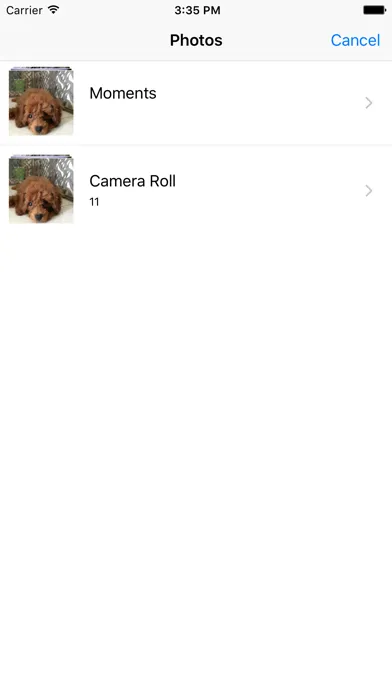 Tangkapan layar Search By Image !!